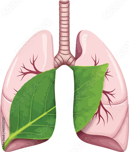 Illustration showing human lungs with green leaves representing healthy respiratory system health concept