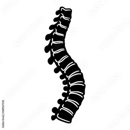 Spine bones isolated on white vector