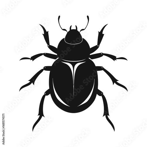 Black scarab beetle insect silhouette on white background