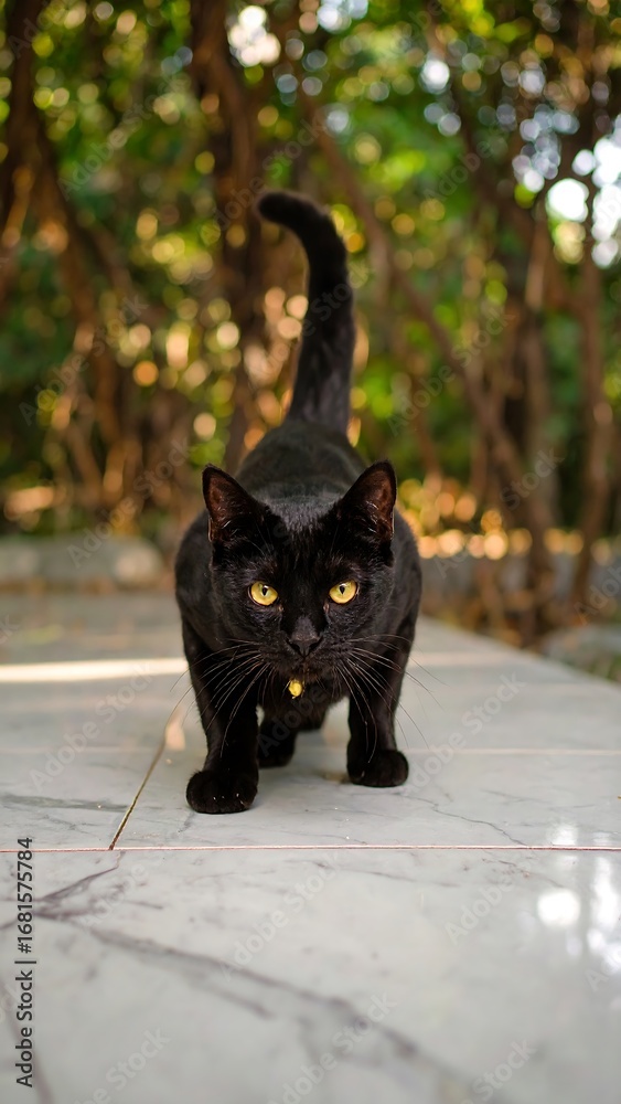 Obraz premium A focused black cat, with luminous yellow eyes, stands alertly on a light gray marble-patterned tiled surface, set against a blurred background of out-of-focus green foliage.
