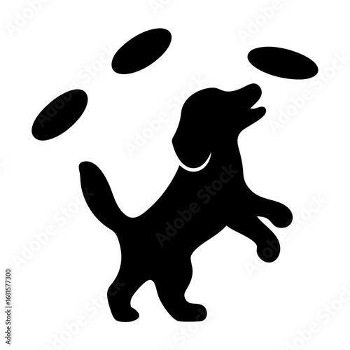 Playful dog catching frisbees in silhouette