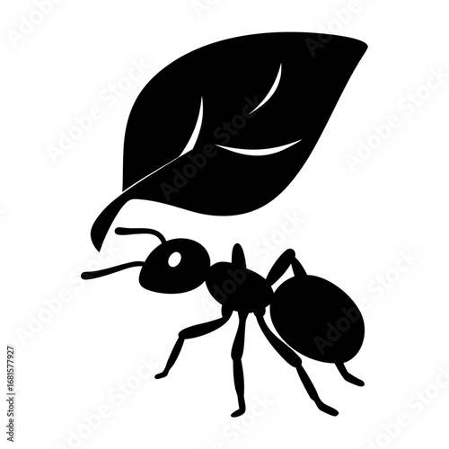 Ant carrying a large leaf in silhouette