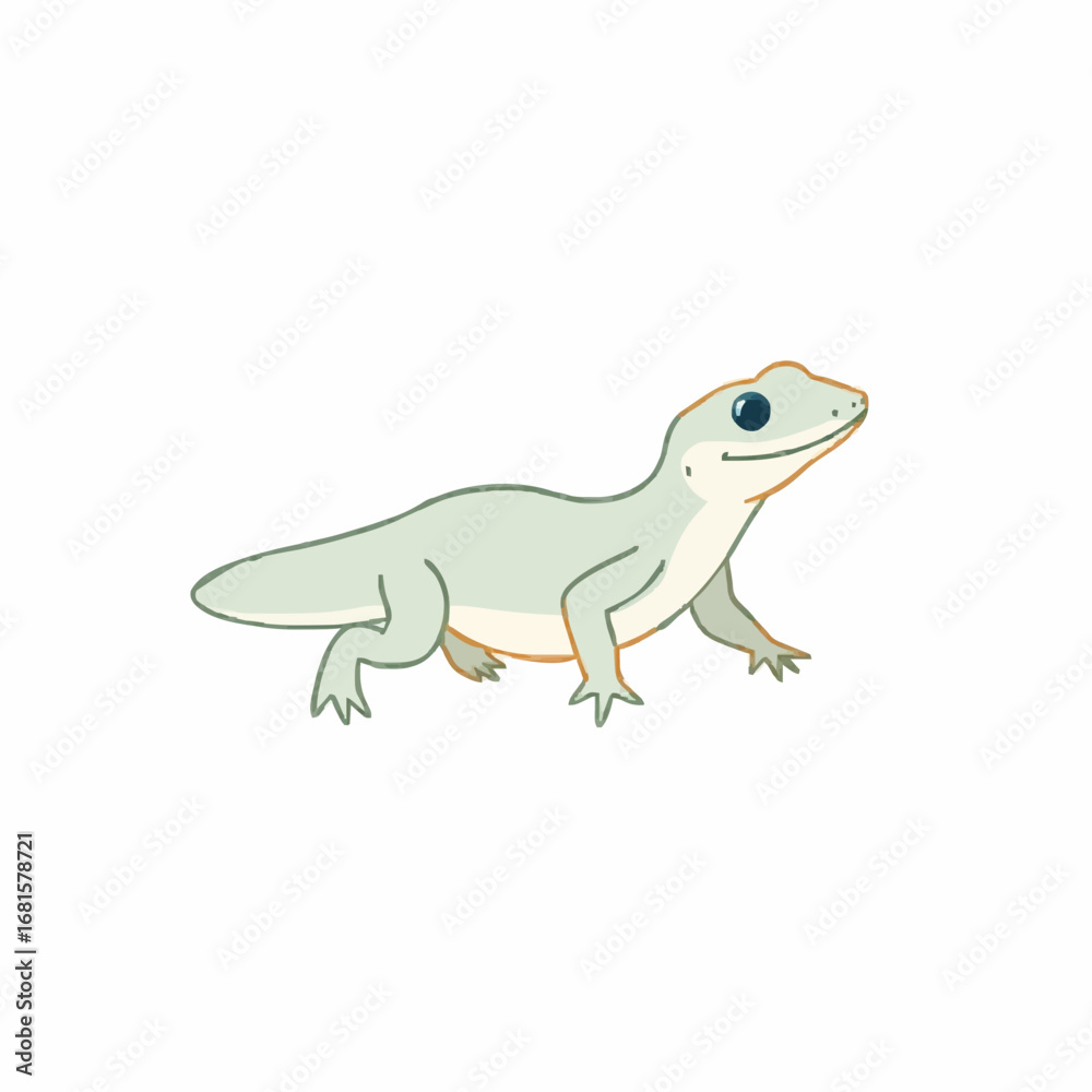 Fototapeta premium Salamander 183