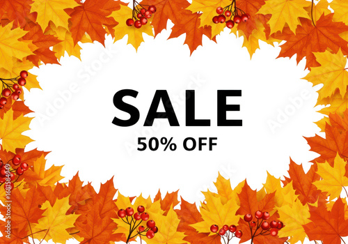 Autumn sale with 50 percent off promotion framed by colorful fall leaves and red berries isolated on transparent background