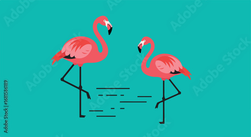 Two pink flamingos stand on one leg against turquoise water