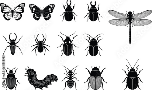 Insect silhouette vector set, beetles, butterflies, dragonfly, spider, caterpillar icons, entomology illustration, black arthropod shapes, nature biology graphic