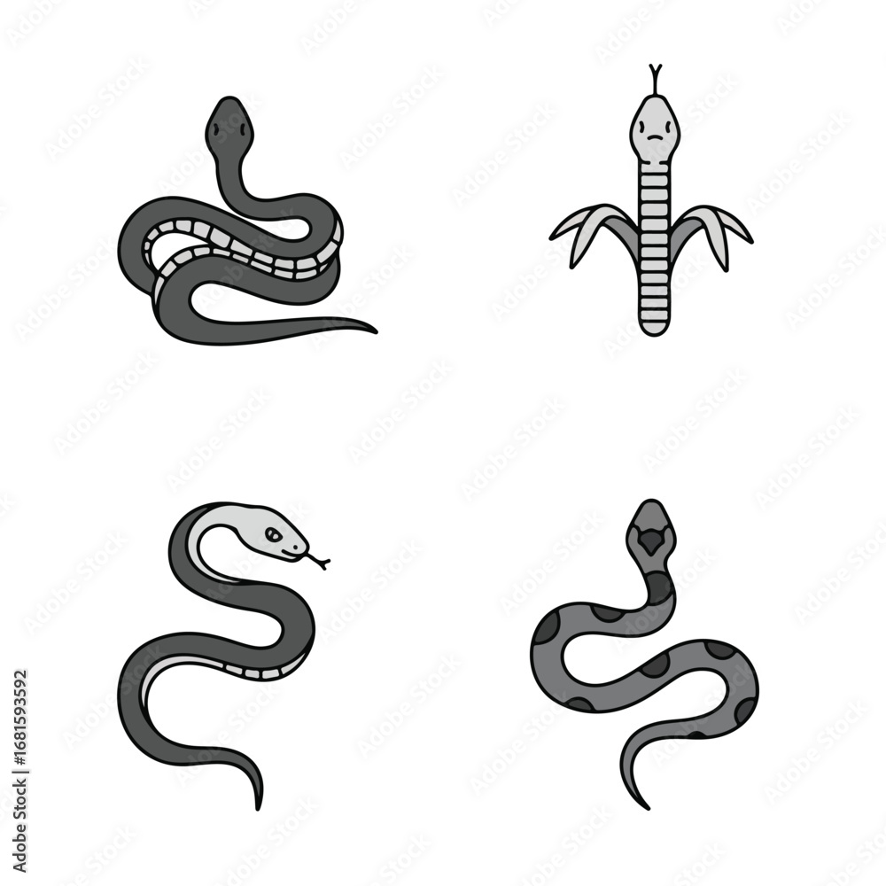 Naklejka premium Four snake illustrations