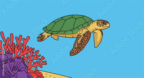 Turtle swimming near corals in ocean