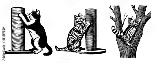 Cats Using Scratching Post Vector – Feline Claw Sharpening & Tree Scratching Silhouettes, Black and White Illustration Set