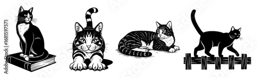 Cats Fitness & Relaxation Vector Pack – Sitting, Yoga Stretch, Sleeping & Weightlifting Silhouettes, Fun Black & White Illustration Set