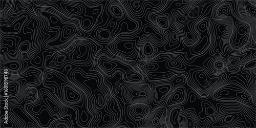 Mapping abstract illustration with irregular organic contour line flow design