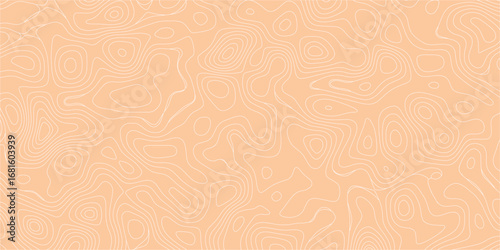 Decorative contour mapping background with layered abstract flowing lines