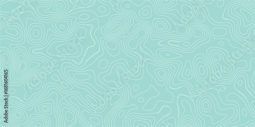 Terrain elevation contour map illustration with organic irregular flow shapes