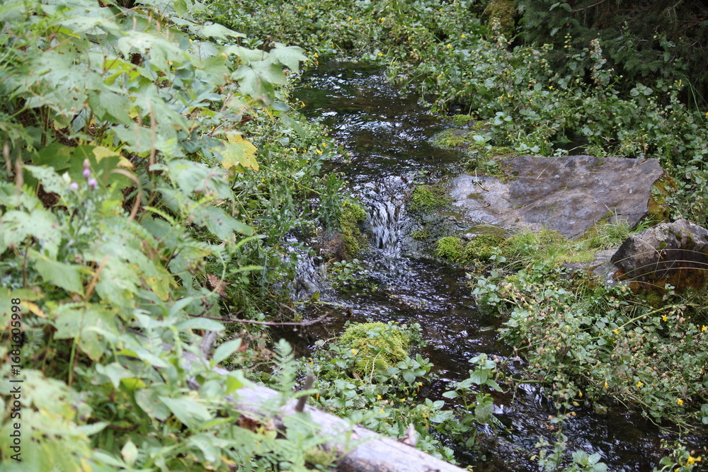 Fototapeta premium Montana Nature and Trails