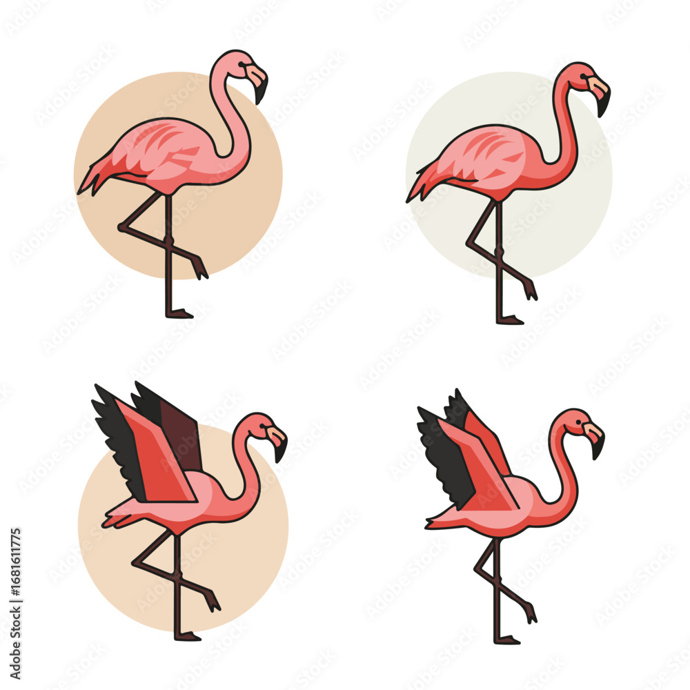Obraz premium Flamingo set
