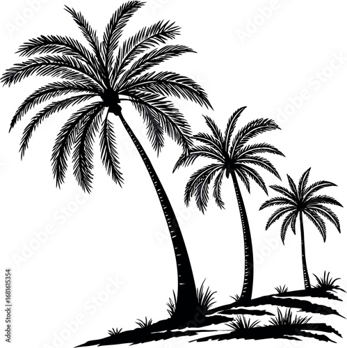 Serene Silhouette of Palms: A captivating illustration presents a trio of palm trees, their silhouettes elegantly etched against a backdrop, evoking a sense of tranquility and tropical allure.