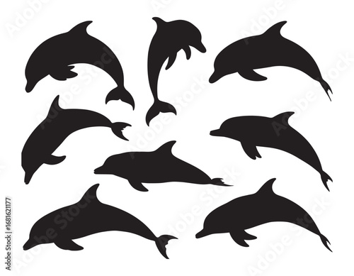 Set of dynamic dolphin silhouettes showcasing their aquatic grace and playful movements in black and white