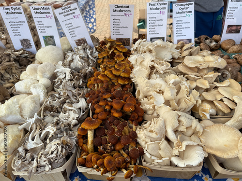 Farmers Market in Holland, Michigan Features a Variety of Fresh Mushrooms and Local Produce