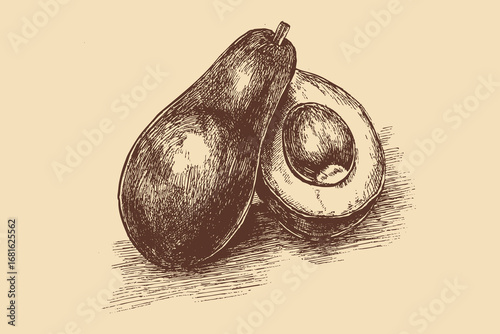 Avocado illustration in a vintage style. This vector illustration can be used in any size you like for advertising, logos, and other work.