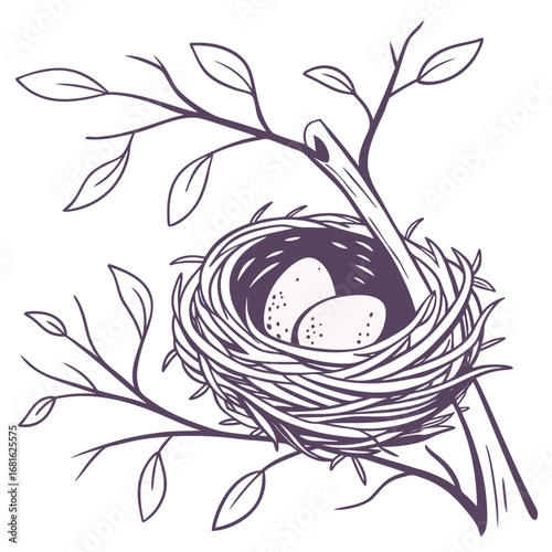 Purple bird nest with two speckled eggs branches vector