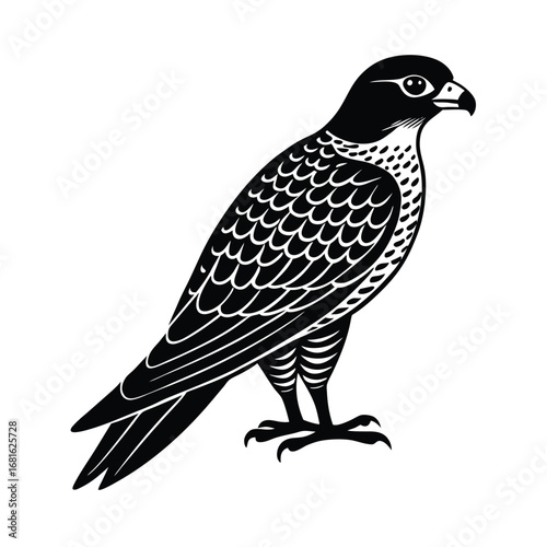 Zander Falcon Bird Illustration Black and White Silhouette on White Background.