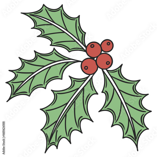 Simple cartoon green holly leaves with red berries berry christmas