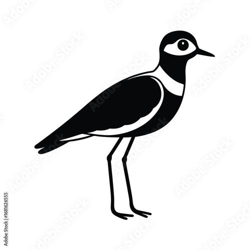 A silhouette of a zayan plover on white background 