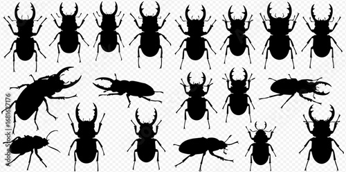 A collection of black silhouette illustrations of stag beetles in various poses, including standing and side views.