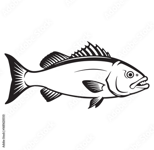 Detailed black and white illustration of a fish suitable for fishing related design