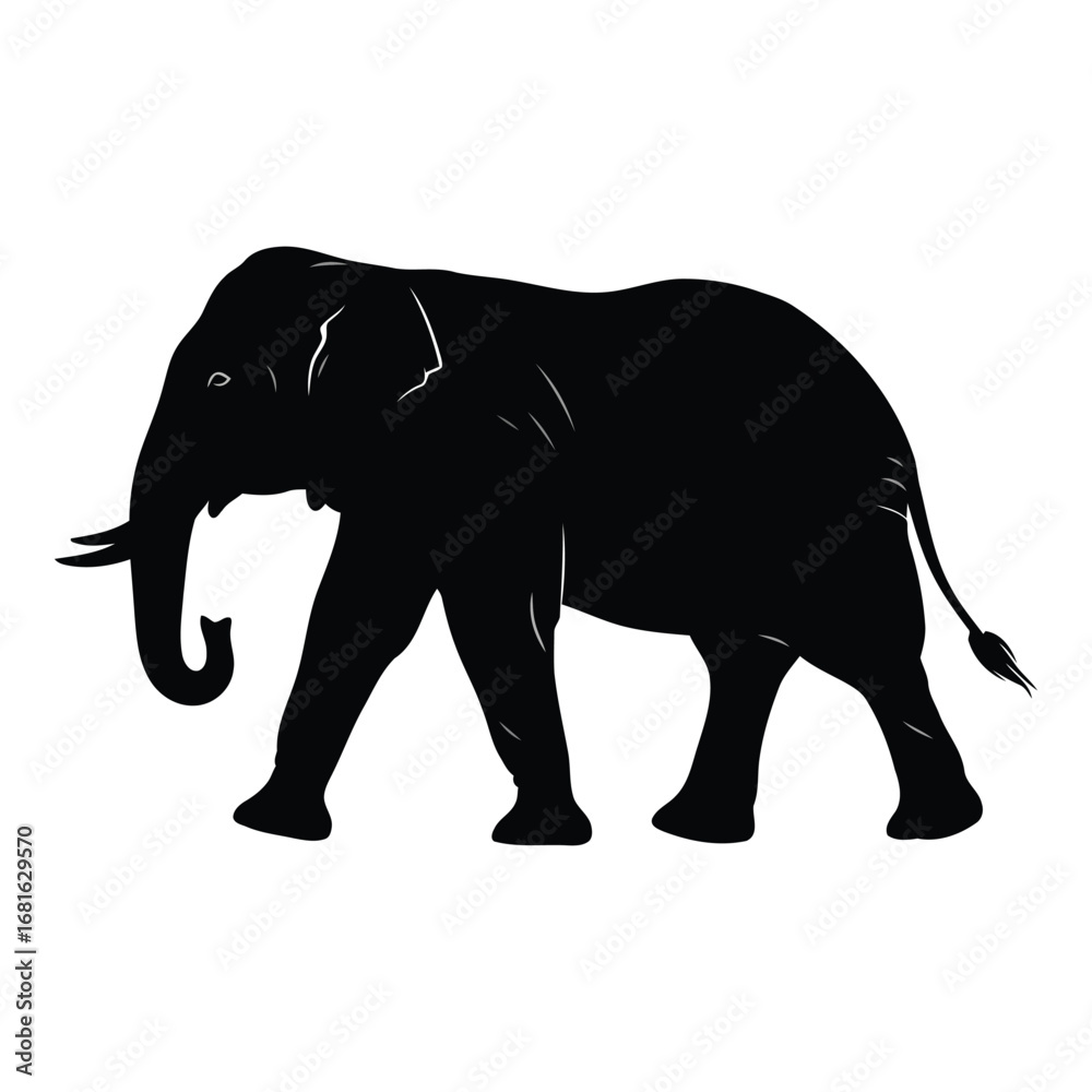 Fototapeta premium Majestic silhouette of a walking african elephant in profile against white silhouette
