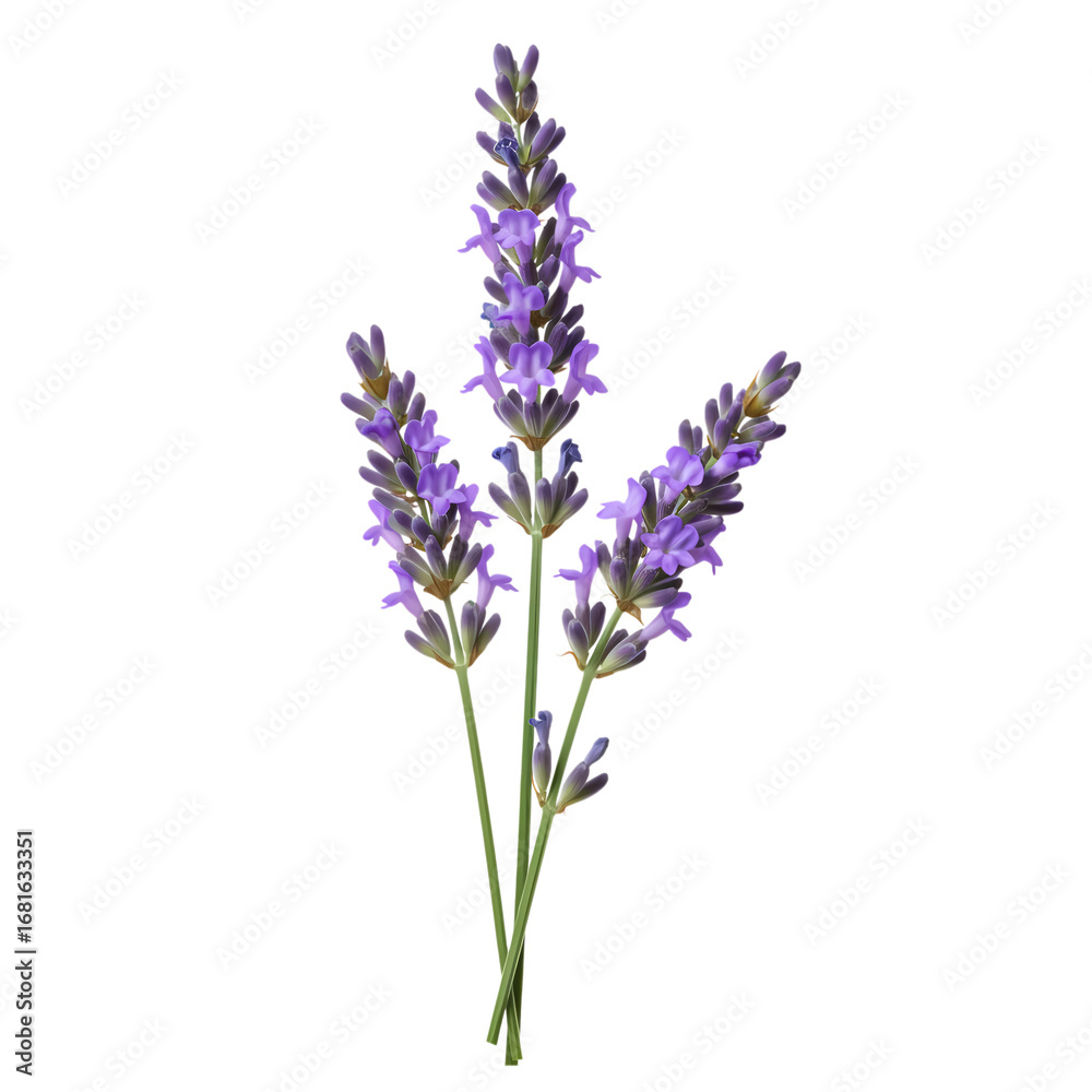 Naklejka premium Circular Elements: Abstract Design with Color Accents - Perfect for Branding & Websites