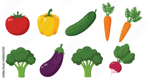 a variety of colorful vegetables arranged neatly in rows