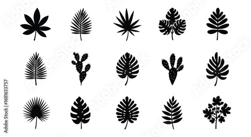 various leaf shapes displayed in a grid formation