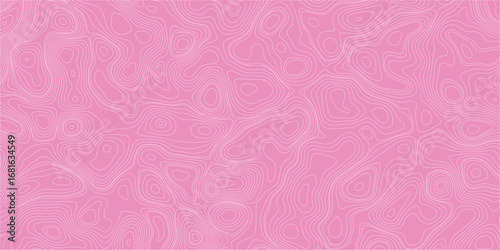 Dynamic abstract topography with intricate contour patterns and smooth flowing lines