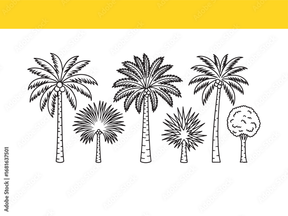 Obraz premium Variety of Palm Trees and a Deciduous Tree Vector Illustration for Tropical Designs and Summer Themes Line Art Style