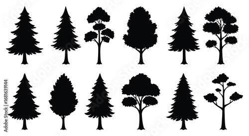 various tree silhouettes displayed in neat rows