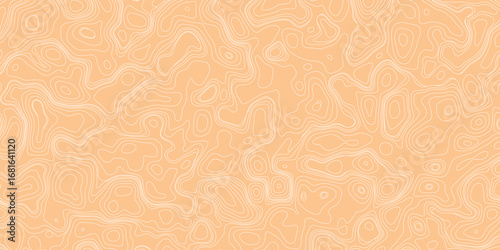 High-resolution abstract contour lines forming dynamic topography-inspired composition