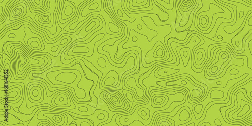Abstract topographic map composition with intricate line patterns and layered shadows