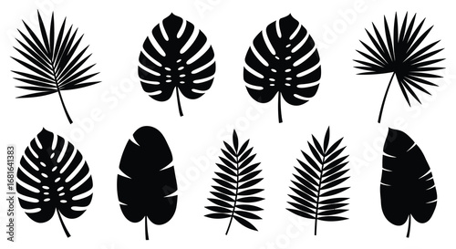 various tropical leaves silhouettes displayed in grid formation