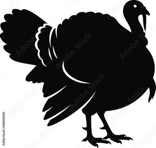 Silhouette of a majestic turkey with fanned tail feathers standing proudly in a profile view vector