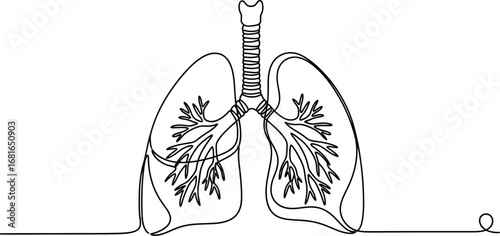 Human lungs one line drawing vector illustration health care