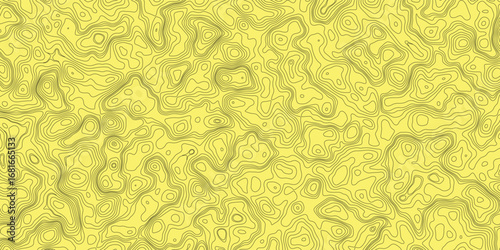 Terrain mapping background abstract with minimal elevation contour lines