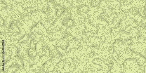Artistic mapping illustration pattern with irregular contour fluid flow