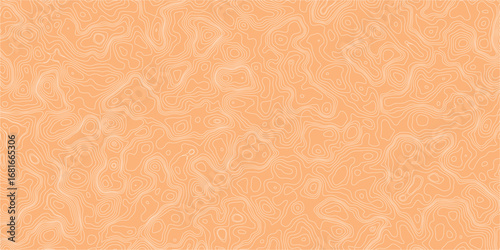 Minimal mapping abstract terrain background with contour line arrangement