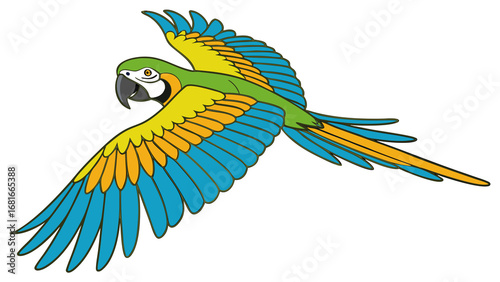 parrot on a white background