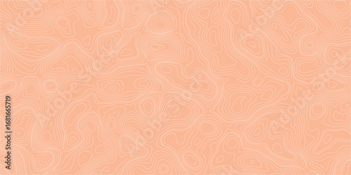 Modern mapping illustration background with organic elevation lines