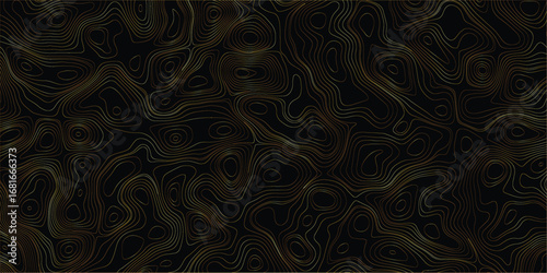 Modern mapping illustration with terrain elevation contour pattern
