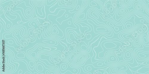 Organic abstract mapping terrain style with elevation contour line art