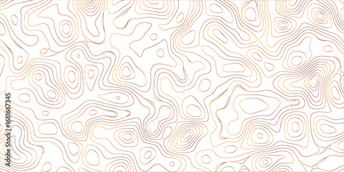 Organic abstract mapping terrain style with elevation contour line art