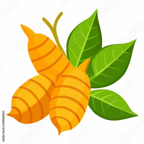 Two Ginger Roots with Leaves